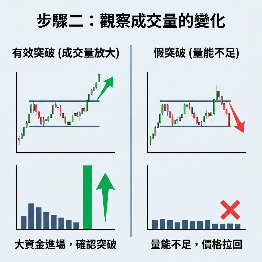 步驟二：觀察成交量的變化